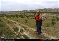 The tribes of Northern Khorasan