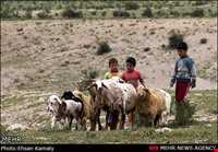 The tribes of Northern Khorasan