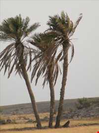 جزیره هندرابی