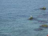 جزیره هندرابی