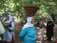 جشن فندق روستای یارود