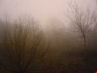 جشن فندق روستای یارود