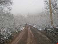 جشن فندق روستای یارود