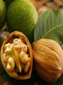 گردو تویسرکان