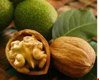 گردو تویسرکان