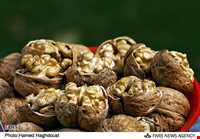 گردو تویسرکان