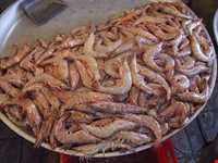 Fish Market of Boushehr