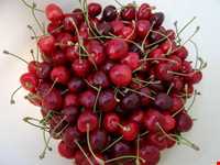 جشن گیلاس روستای هریف