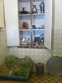 موزه و خانه استاد شهریار