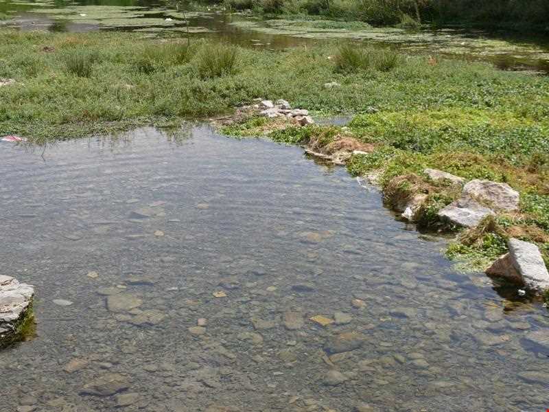 Emarat Mirage and Spring