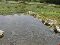 چشمه و سراب عمارت شازند