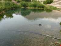 Emarat Mirage and Spring