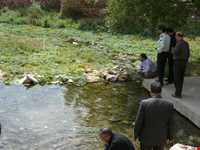 Emarat Mirage and Spring