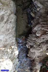 چشمه دوخواهران