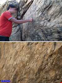 چشمه دوخواهران