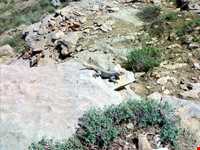 Chepeqli Mineral Spring