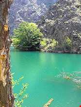 سد طبیعی کرد آباد