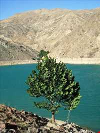 kord abad Natural Dam