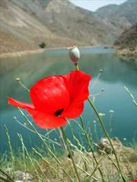 kord abad Natural Dam