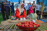 strawberry Harvest Festival