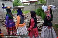 strawberry Harvest Festival