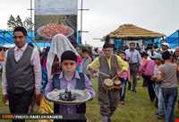 strawberry Harvest Festival