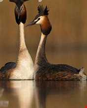 تالاب سیاه درویشان