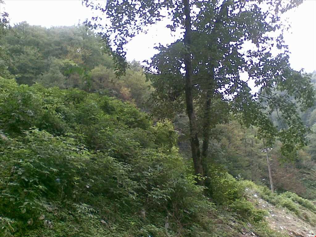 تالاب سیاه درویشان