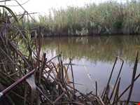 تالاب سیاه درویشان