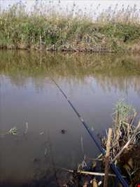 تالاب سیاه درویشان