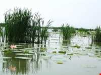 تالاب سیاه درویشان