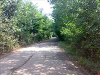 تالاب سیاه درویشان