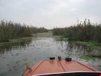 تالاب و پناهگاه حیات وحش سلکه