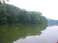 تالاب و پناهگاه حیات وحش سلکه