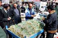 بازارچه مرزی جوانرود