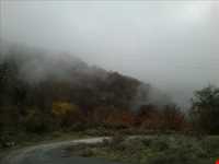 جنگل الیمستان