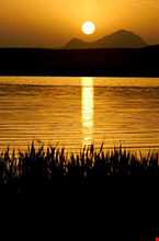 ﺳﺪ ﺳﻠﯿﻤﺎﻧﺸﺎﻩ (شهداء)