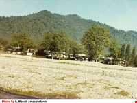 پارک ساحلی ماسال