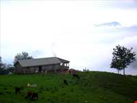 ییلاق اولسبلنگاه ( ییلاقات ماسال )