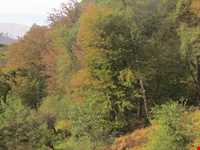 ییلاق اولسبلنگاه ( ییلاقات ماسال )