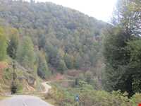 ییلاق اولسبلنگاه ( ییلاقات ماسال )