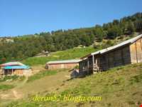 ییلاق اولسبلنگاه ( ییلاقات ماسال )