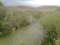 آبشار نوغان