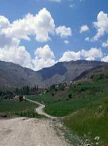 کوه دالاهو