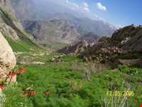 کوه دالاهو