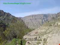 روستای  کلم