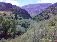 روستای  کلم