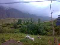 روستای  کلم