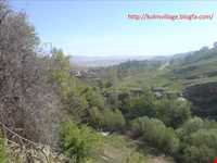روستای  کلم