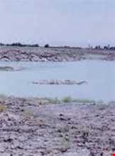 سد پناه کندی